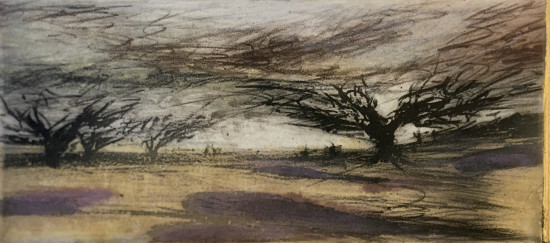 AC47B6E7-B786-4CD0-A05C-433A035FDBFC-1588375329